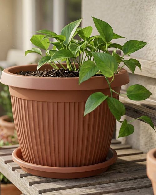 Ybdwn Ribbed Round Plastic Planter with Saucer 12 in Clay Brown - Lifestyle view